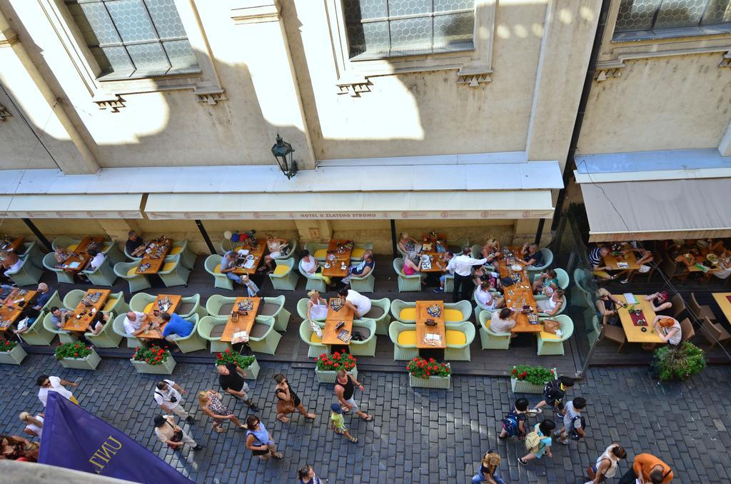 Pension Karlova Praha Pokoj fotografie